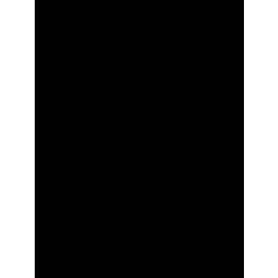 هستی خسروی